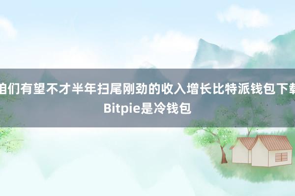 咱们有望不才半年扫尾刚劲的收入增长比特派钱包下载Bitpie是冷钱包