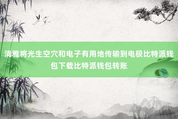 清雅将光生空穴和电子有用地传输到电极比特派钱包下载比特派钱包转账