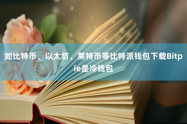 如比特币、以太坊、莱特币等比特派钱包下载Bitpie是冷钱包