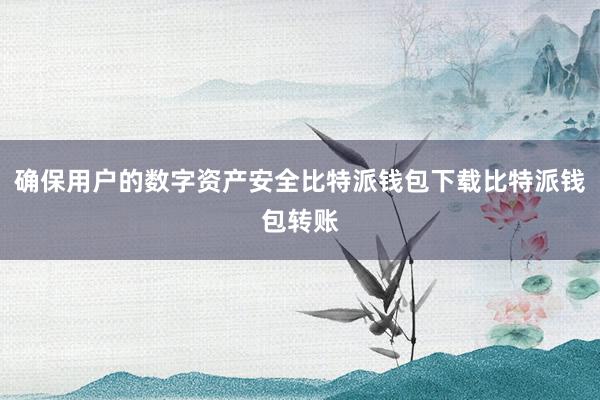 确保用户的数字资产安全比特派钱包下载比特派钱包转账