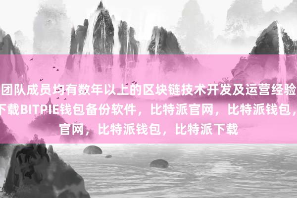 团队成员均有数年以上的区块链技术开发及运营经验比特派钱包下载BITPIE钱包备份软件，比特派官网，比特派钱包，比特派下载