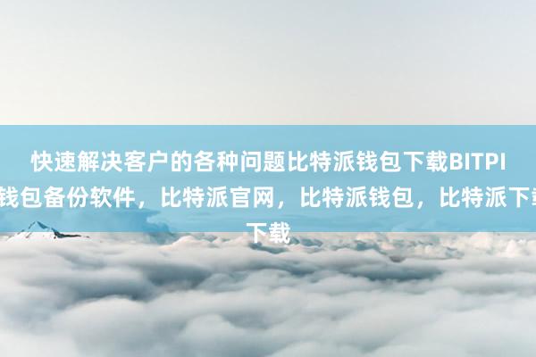 快速解决客户的各种问题比特派钱包下载BITPIE钱包备份软件，比特派官网，比特派钱包，比特派下载