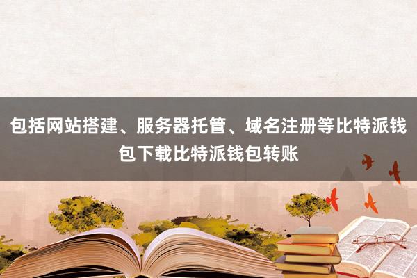 包括网站搭建、服务器托管、域名注册等比特派钱包下载比特派钱包转账