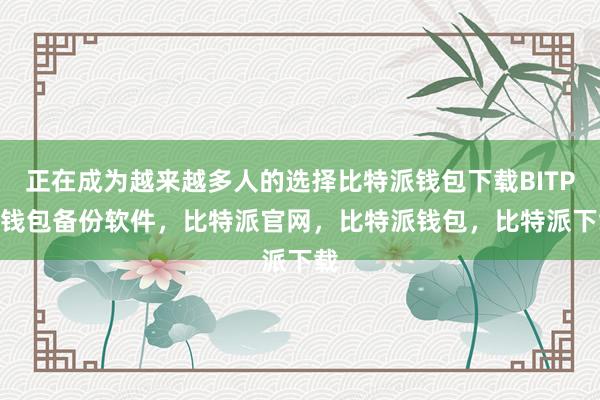 正在成为越来越多人的选择比特派钱包下载BITPIE钱包备份软件，比特派官网，比特派钱包，比特派下载