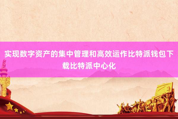 实现数字资产的集中管理和高效运作比特派钱包下载比特派中心化