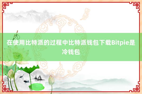 在使用比特派的过程中比特派钱包下载Bitpie是冷钱包