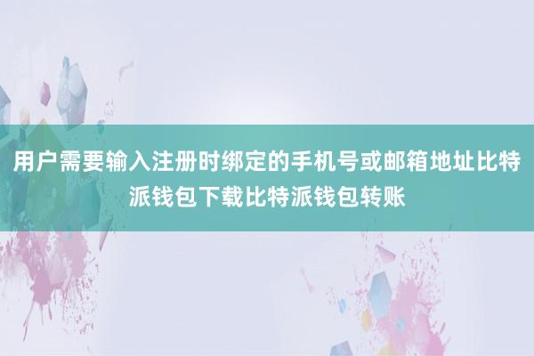 用户需要输入注册时绑定的手机号或邮箱地址比特派钱包下载比特派钱包转账