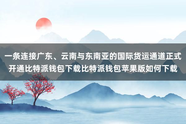 一条连接广东、云南与东南亚的国际货运通道正式开通比特派钱包下载比特派钱包苹果版如何下载