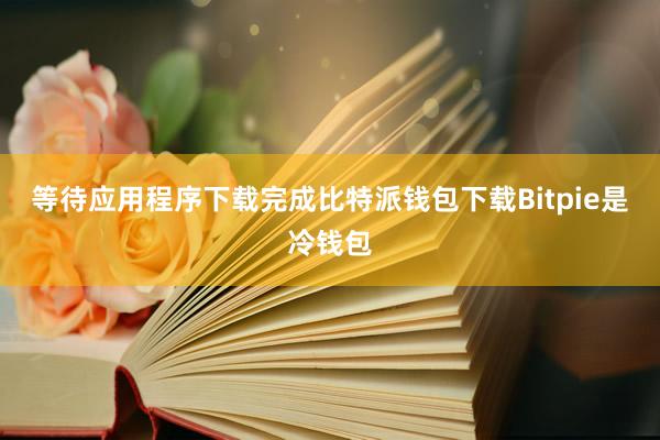 等待应用程序下载完成比特派钱包下载Bitpie是冷钱包