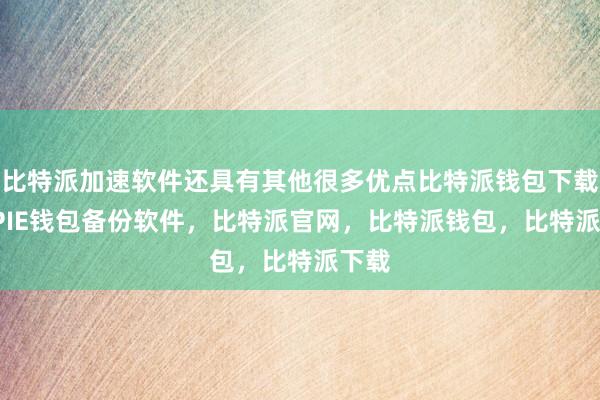 比特派加速软件还具有其他很多优点比特派钱包下载BITPIE钱包备份软件，比特派官网，比特派钱包，比特派下载