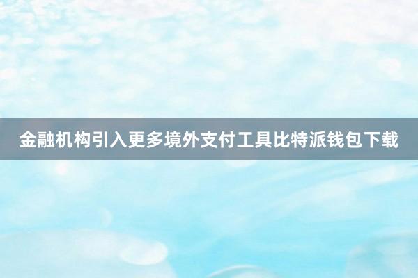 金融机构引入更多境外支付工具比特派钱包下载