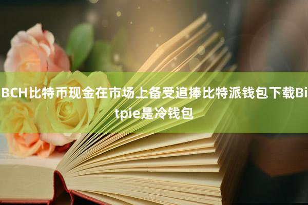 BCH比特币现金在市场上备受追捧比特派钱包下载Bitpie是冷钱包