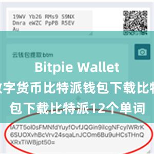 Bitpie Wallet还支持多种数字货币比特派钱包下载比特派12个单词