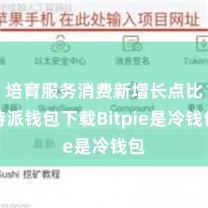 培育服务消费新增长点比特派钱包下载Bitpie是冷钱包