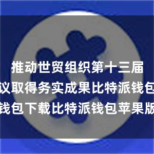 推动世贸组织第十三届部长级会议取得务实成果比特派钱包下载比特派钱包苹果版如何下载