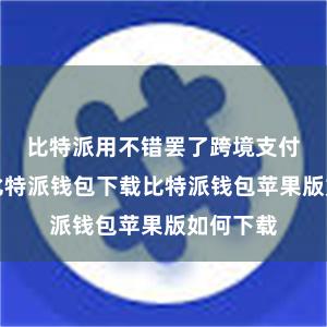 比特派用不错罢了跨境支付和转账比特派钱包下载比特派钱包苹果版如何下载