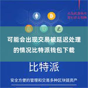 可能会出现交易被延迟处理的情况比特派钱包下载