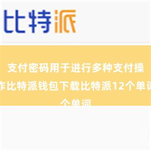 支付密码用于进行多种支付操作比特派钱包下载比特派12个单词