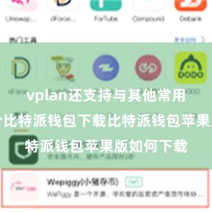 vplan还支持与其他常用软件的整合比特派钱包下载比特派钱包苹果版如何下载